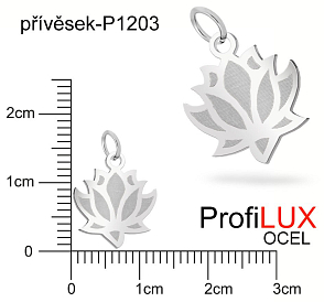 Přívěsek Ocel ozn-P1203 LEKNÍN velikost 14x12mm. Řada přívěsků ProfiLUX