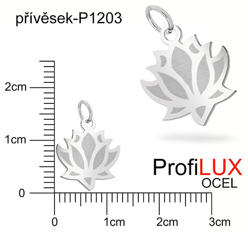 Přívěsek Ocel ozn-P1203 LEKNÍN velikost 14x12mm. Řada přívěsků ProfiLUX