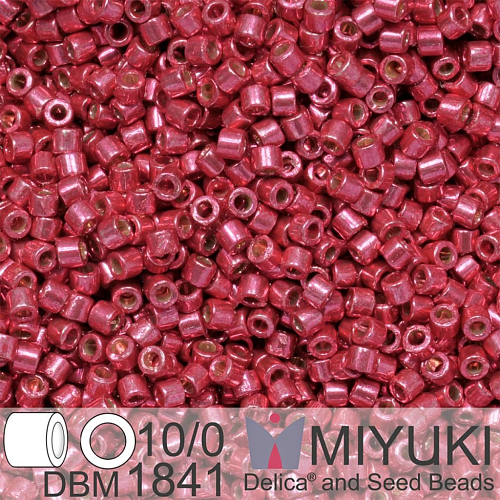 Korálky Miyuki Delica 10/0. Barva Duracoat Galvanized Light Cranberry DBM1841. Balení 5g.