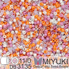 Korálky Miyuki Delica 11/0. Barva Pastel Chique Mix DB3135. Balení 5g